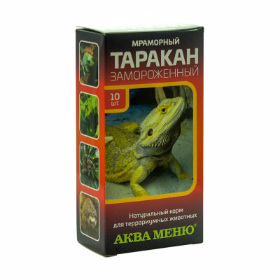 Таракан мраморный замороженный 10шт (коробка)
